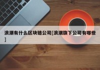 浪潮有什么区块链公司[浪潮旗下公司有哪些]